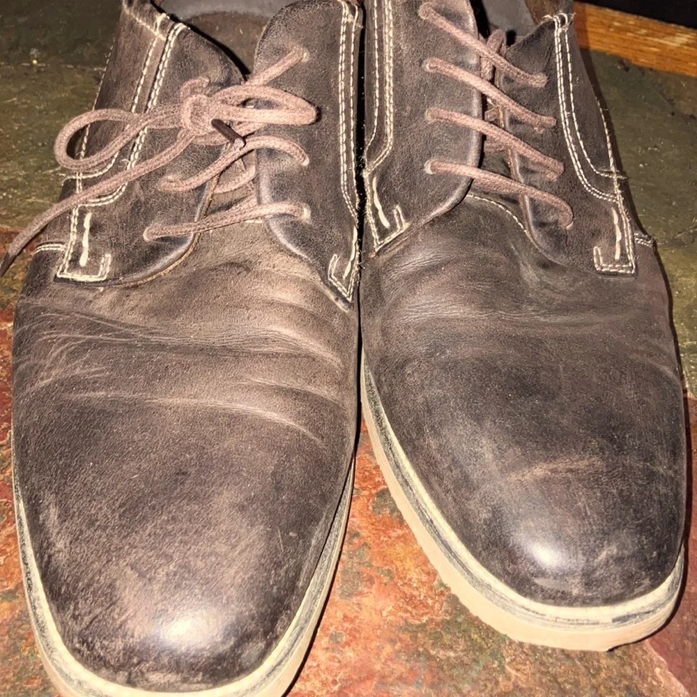 Steve Madden Brown‎ Leather Oxford Shoes